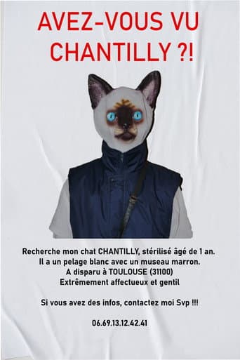 AVEZ-VOUS VU CHANTILLY ?! (2023) poster