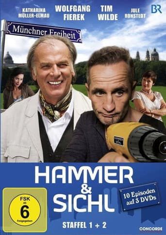 Hammer & Sichl (2013) poster