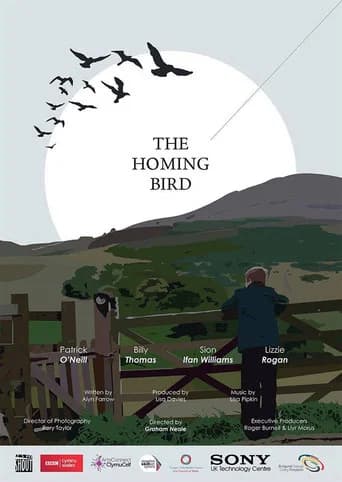 The Homing Bird (2014) poster