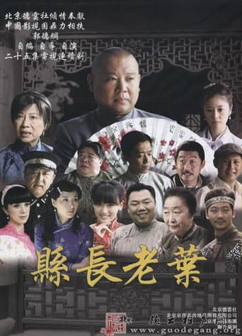 知县叶光明 (2010) poster