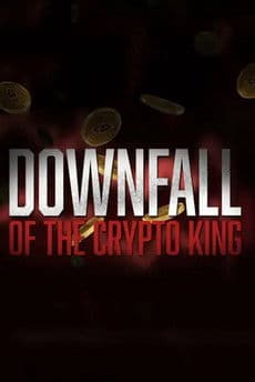 Downfall of the Crypto King (2024) poster