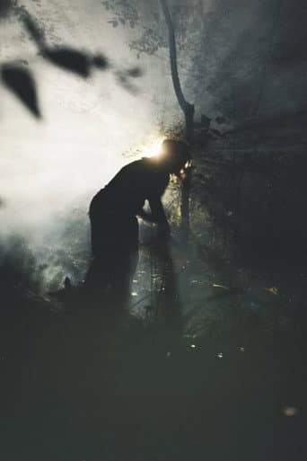 Palindrome (2025) poster