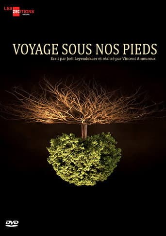 Voyage sous nos pieds (2016) poster
