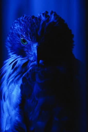 The Falconer's Legacy (2023) poster