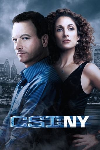 CSI: NY (2004) poster