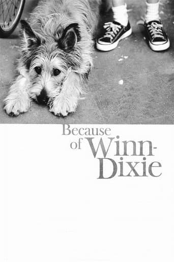 Because of Winn-Dixie (2005) poster