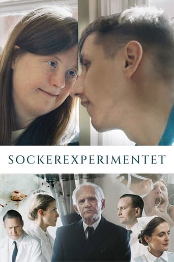 The Sugar Experiment (2023) poster