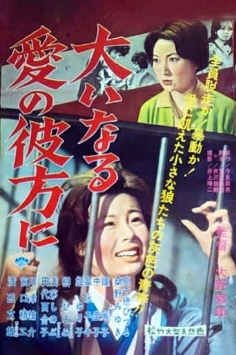 Girls Behind the Bars (1960) poster
