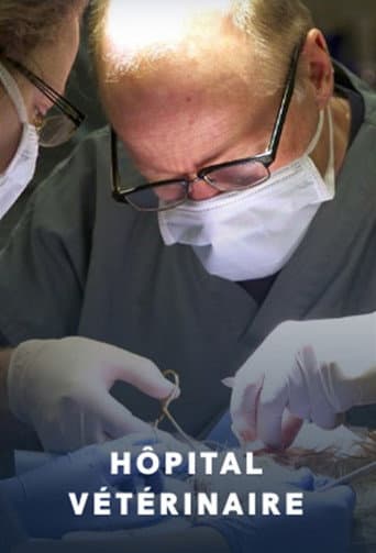 Hôpital vétérinaire (2012) poster