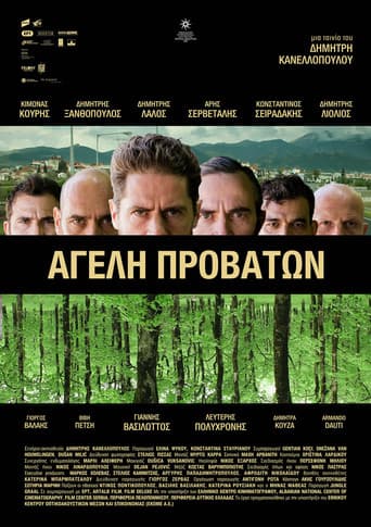Pack of Sheep (2022) poster