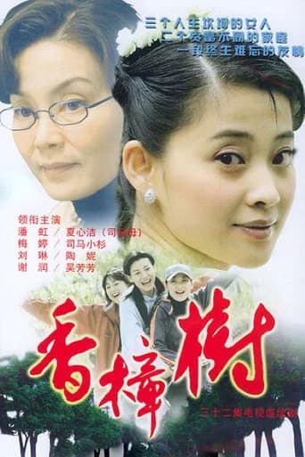 香樟树 (2004) poster