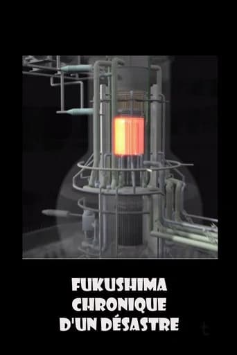 Fukushima, chronique d'un désastre (2013) poster