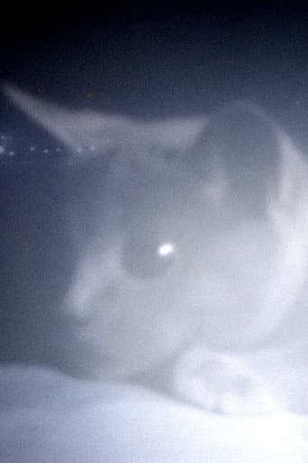 Somos animales (2023) poster