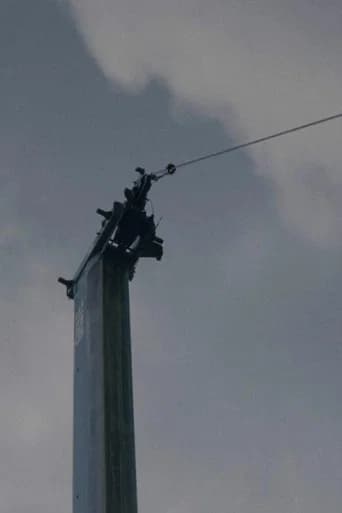 Cranes and Voices poster