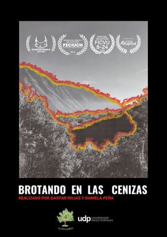 Brotando en las cenizas (2024) poster