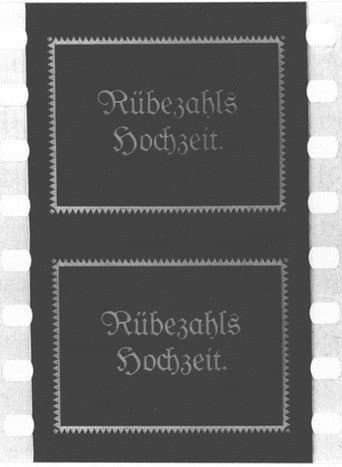 Rübezahl's Wedding (1916) poster