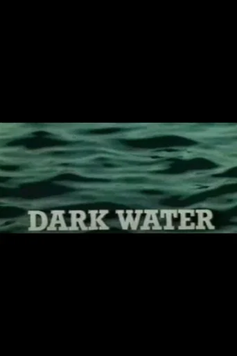 Dark Water (1980) poster
