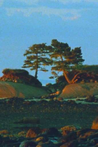 Two Trees (2024) poster