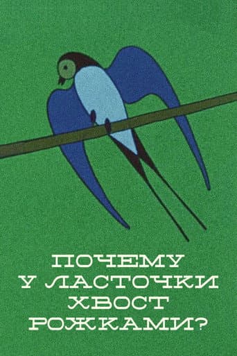 Why the Swallow's Tail Is Double? (1967) poster