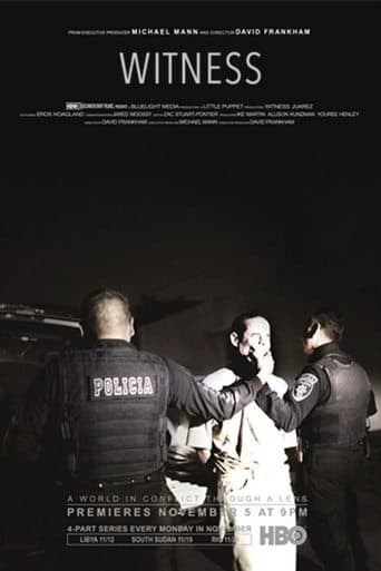 Witness (2012) poster