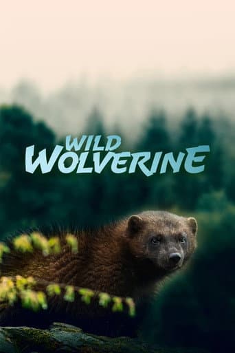 Wild Wolverine (2020) poster