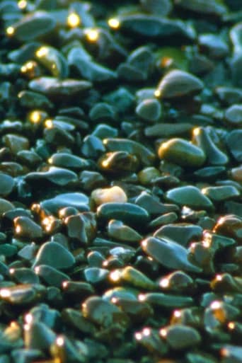 Jasper Beach and The Salt Marsh (2023) poster
