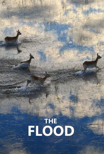 The Flood (2018) poster