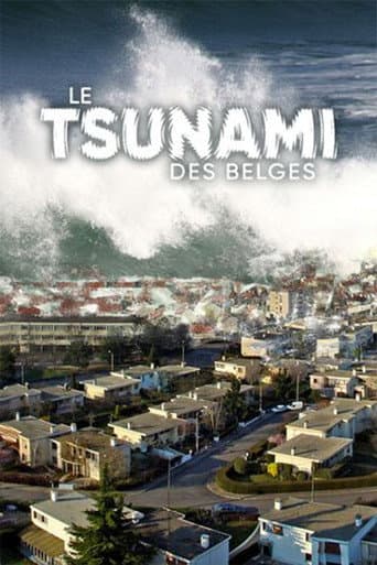 Le Tsunami des belges (2024) poster