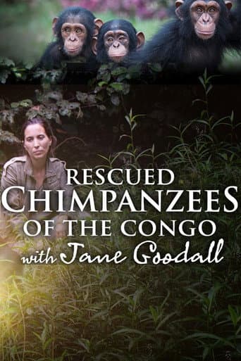 Rescued Chimpanzees of the Congo with Jane Goodall (2021) poster