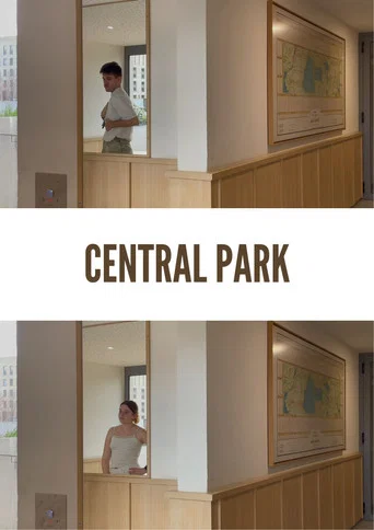 Central Park (2024) poster