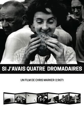 If I Had Four Dromedaries (1966) poster