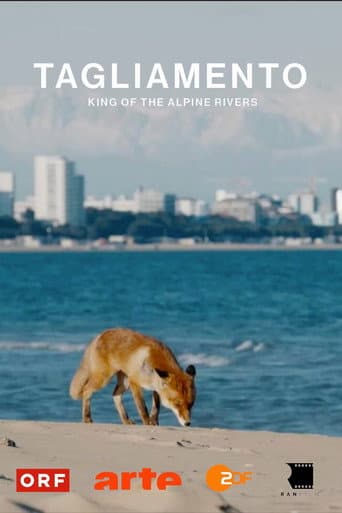 Tagliamento - King of The Alpine Rivers (2024) poster