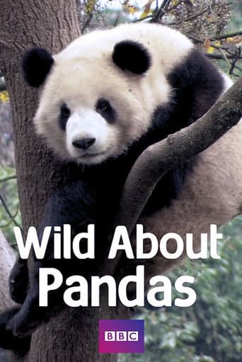 Wild About Pandas (2012) poster