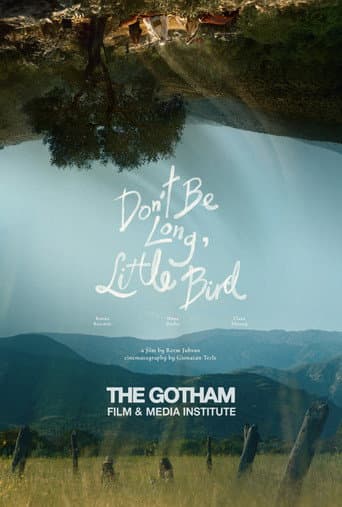Don't Be Long, Little Bird (2025) poster