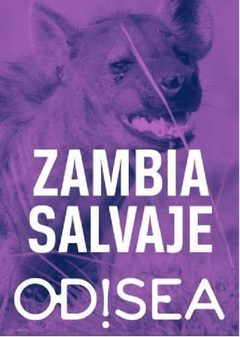 Tales from Zambia (2018) poster