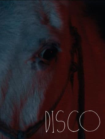 Disco (2026) poster