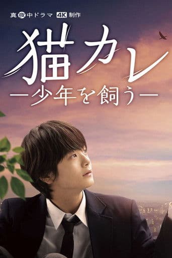 Taking in a Stray (2023) poster
