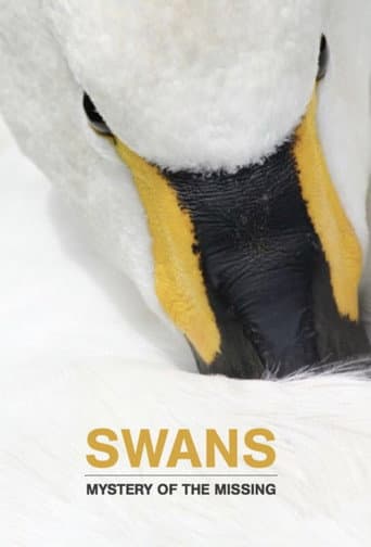 Swans: Mystery of the Missing (2019) poster