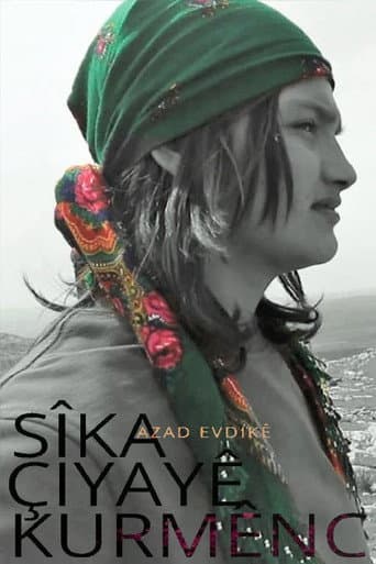 Shadow of the Kurdish Mountain (2019) poster