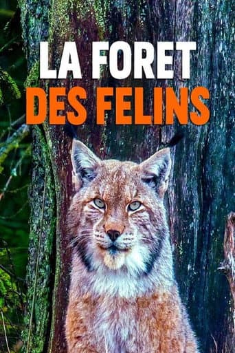 La forêt des félins: Chats sauvages et lynx du Harz (2022) poster