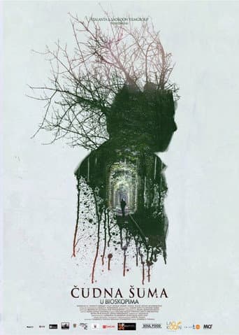 Strange Forest (2014) poster