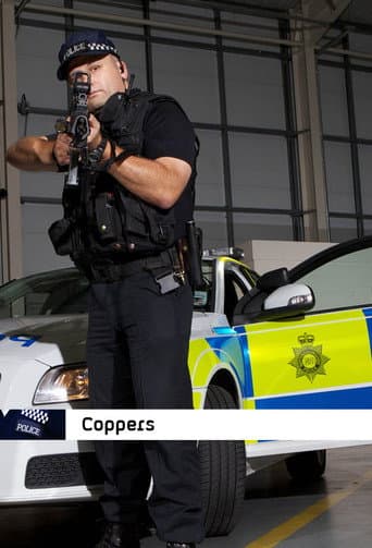Coppers (2010) poster