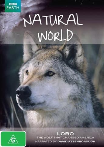 A Wolf Called Storm (2012) poster