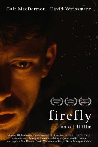 Firefly (2024) poster