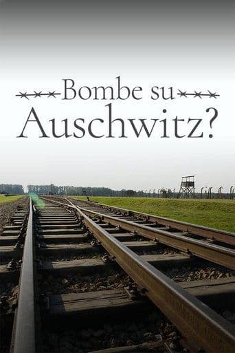 1944: Should We Bomb Auschwitz? (2019) poster