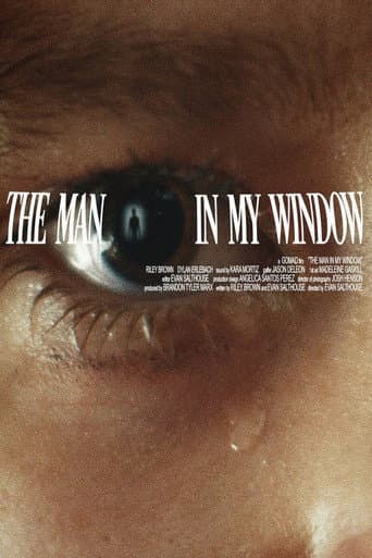 The Man In My Window poster