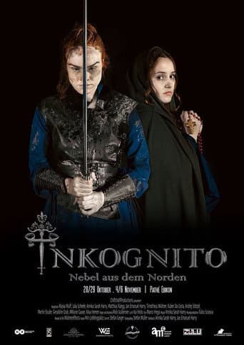 Inkognito - Nebel aus dem Norden (2022) poster