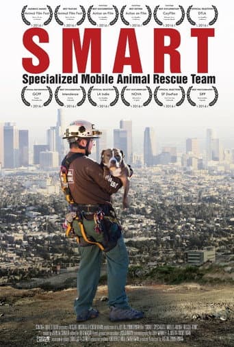 Smart (2015) poster