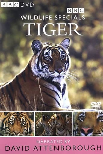 Tiger: The Elusive Princess (1999) poster