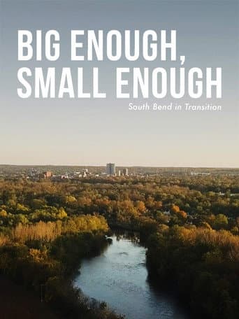 Big Enough, Small Enough (2020) poster